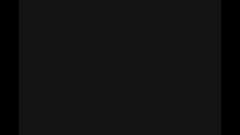 21804